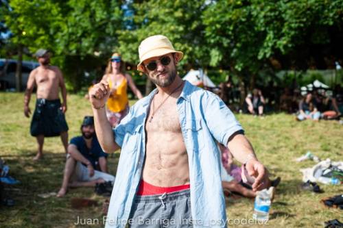 Photo de profil de Papillon-migrateur Fantastique