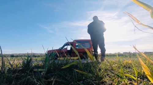 Photo de profil de Collins