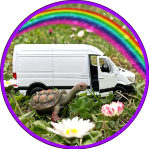 July la Tortue