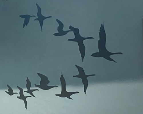Thegreygoosetrip