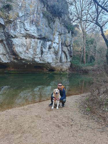 Photo de profil de Rom 