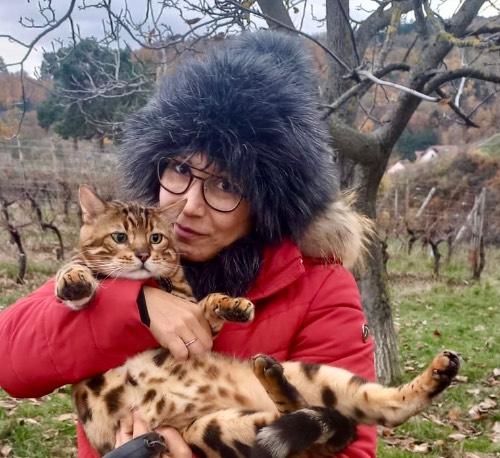 Photo de profil de Schnoukette74