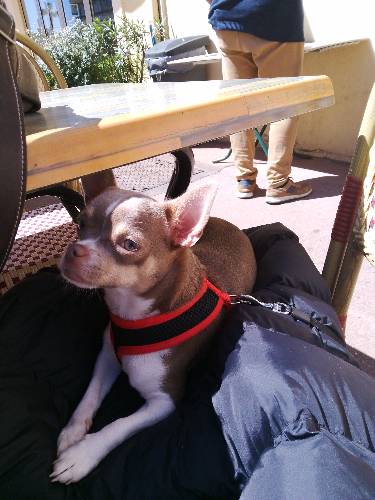 Photo de profil de Billy