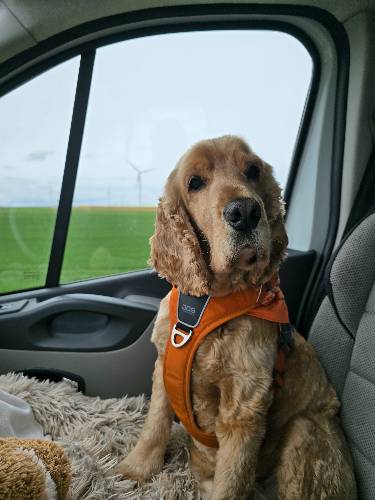 Photo de profil de Me and Malo 