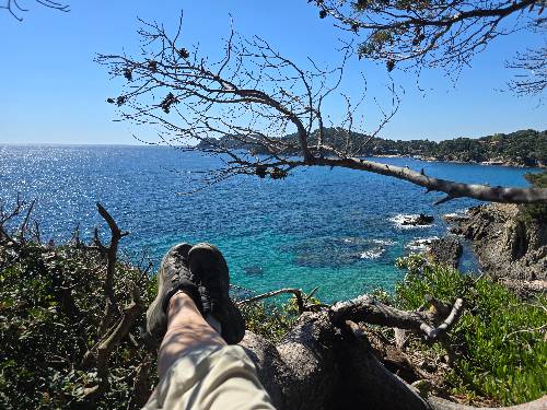 Photo de profil de Jaïn cabana