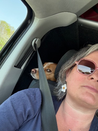 Photo de profil de Kiwi et Tartine