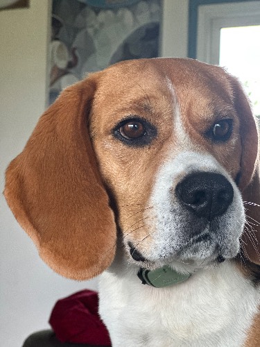 Photo de profil de Buanatoy 95