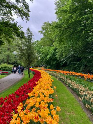 Photo de profil de Kikou47