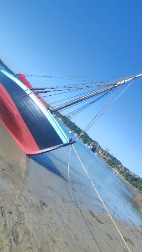 Photo de profil de Rimk Douhabi