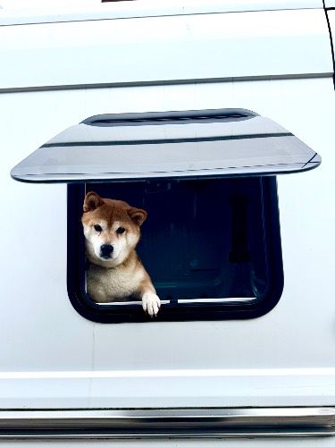 Photo de profil de Elo & Val