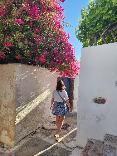 Photo de profil de Lisa