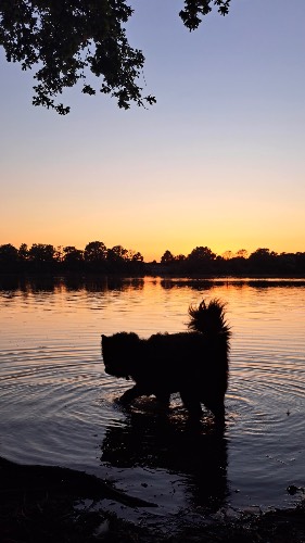 Photo de profil de UnReveHeureux