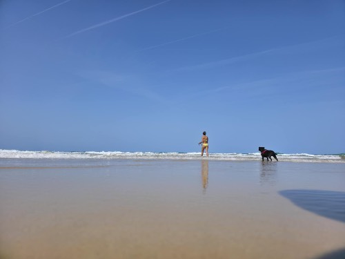 Photo de profil de Vivie29