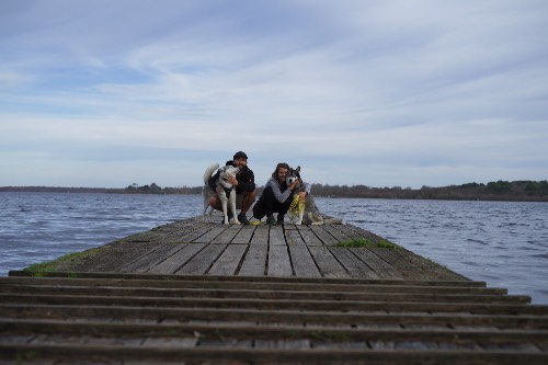 Photo de profil de Boundexplorer