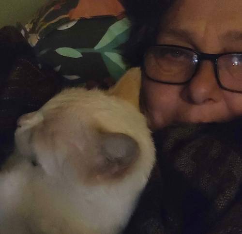 Photo de profil de Chacha et moi