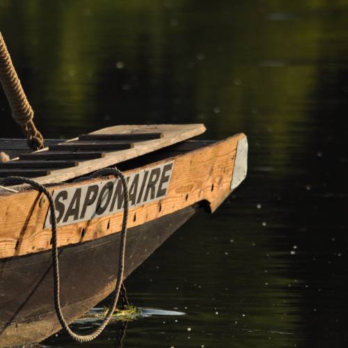 Photo de profil de Tisma