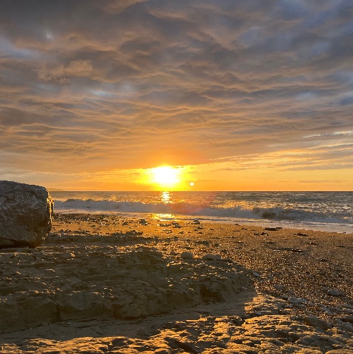 Photo de profil de Ju