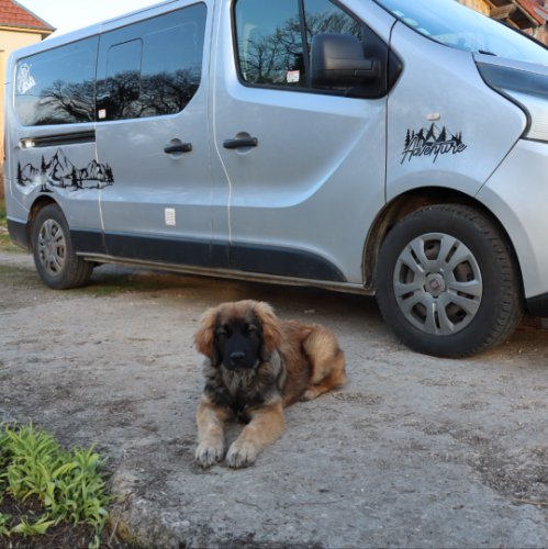 Photo de profil de NomadeFR