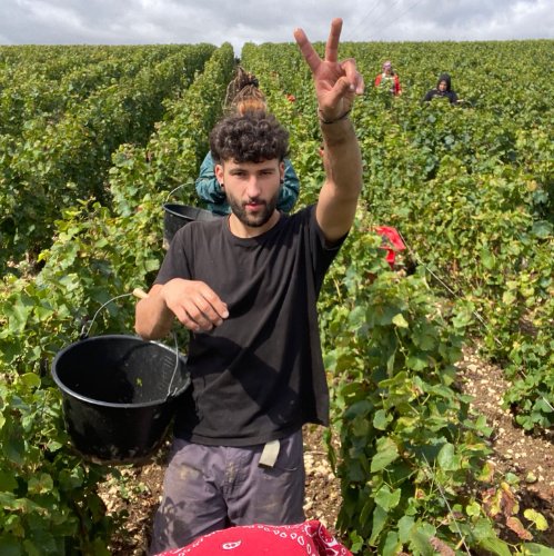 Photo de profil de Bastos à bord de KamKoum