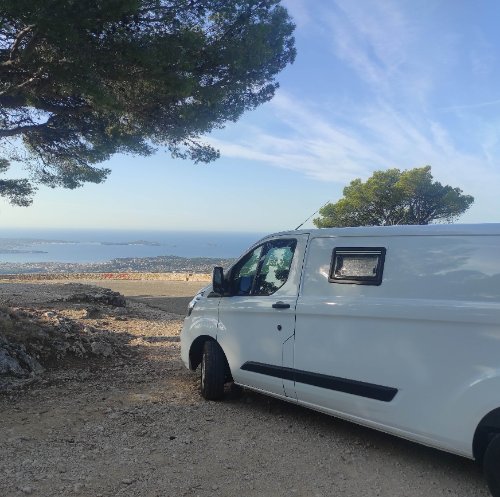 Photo de profil de Figue 