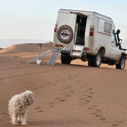 Photo de profil de jacques THOMAS