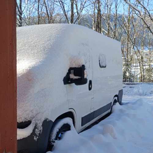 Photo de profil de Simone 