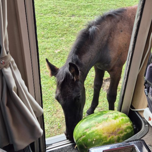 Photo de profil de Otta