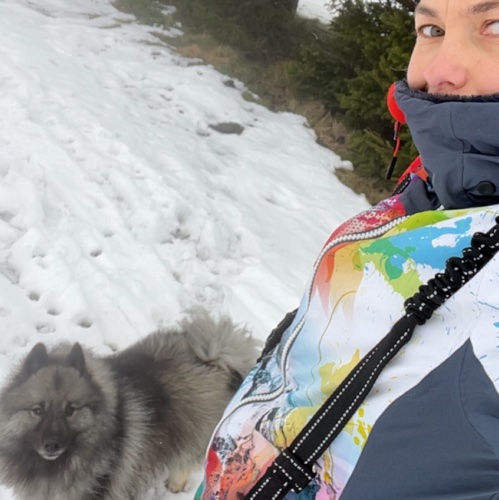 Photo de profil de K-ro