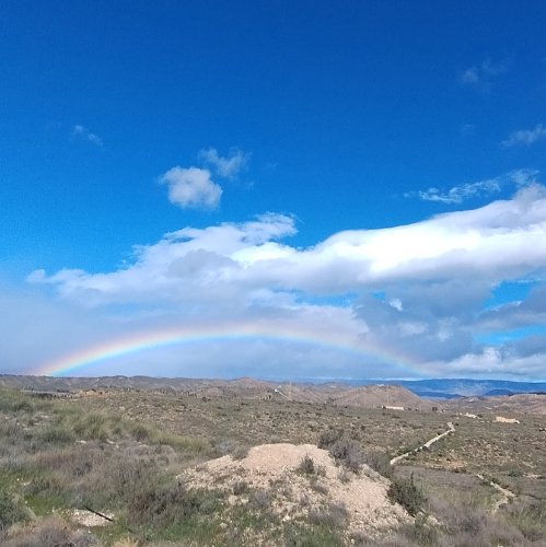 Photo de profil de Rose