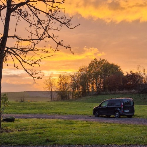 Photo de profil de Margot