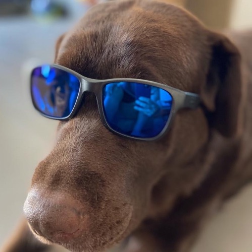 Bruno.V