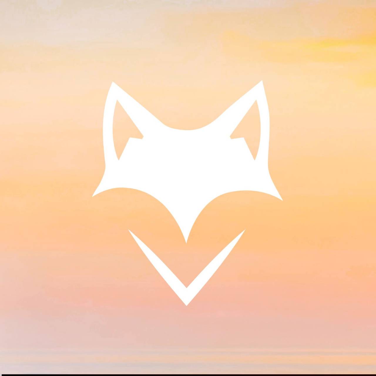 Wtfox.fr