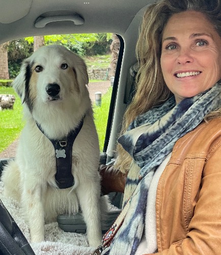 Photo de profil de Le coquillage qui voyage 