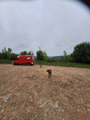 Photo de profil de Troubadour-moderne Bigarré