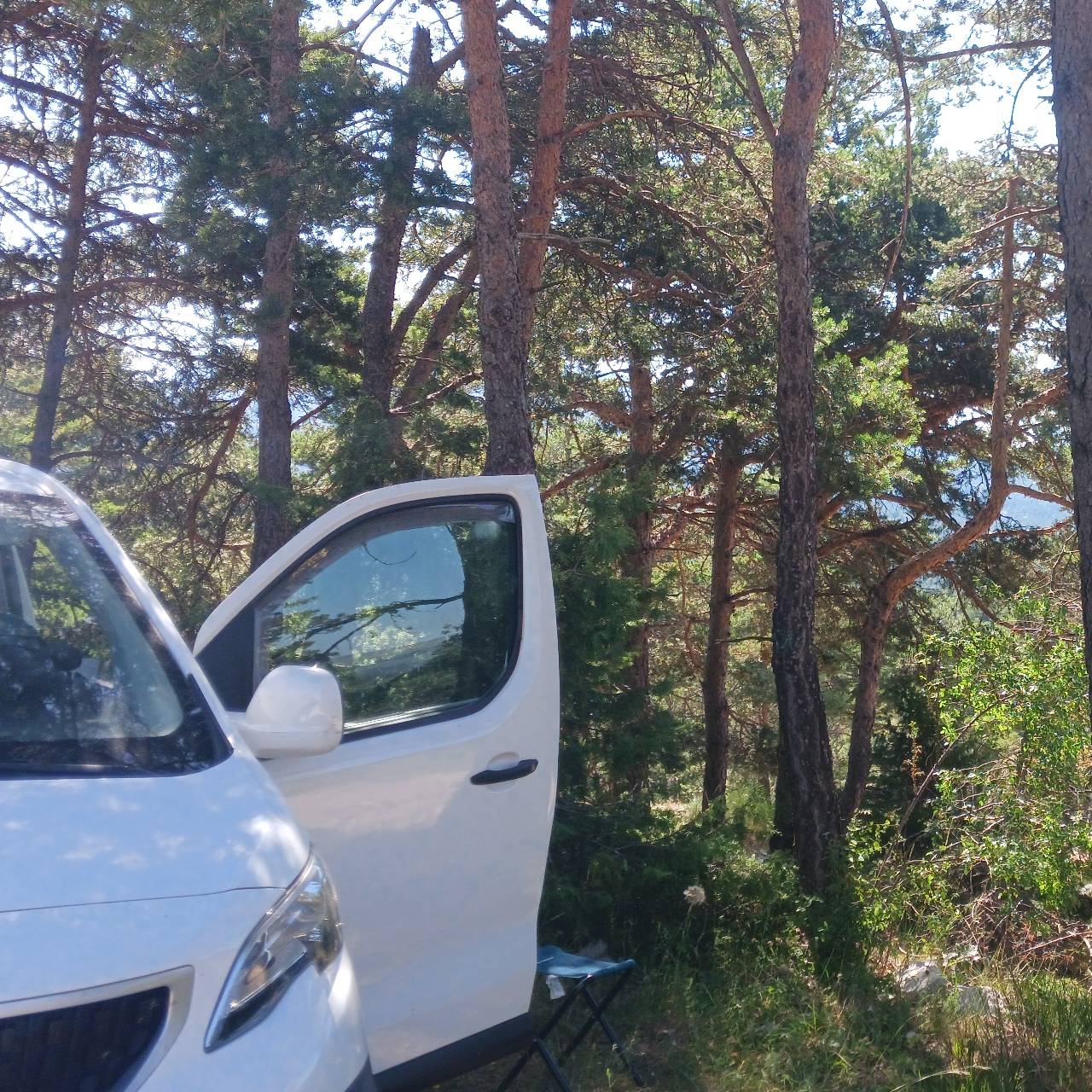 Le Van