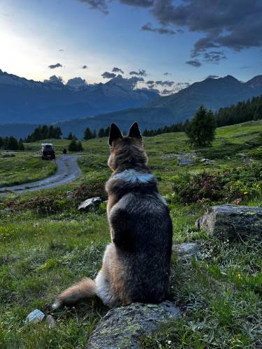 Photo de profil de Jamais sans TOÎT