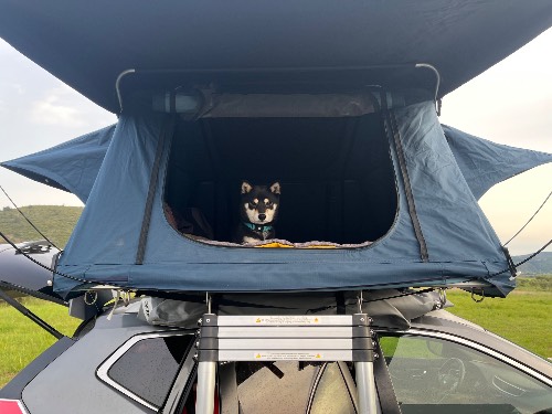 Photo de profil de Caravane Pirouettant