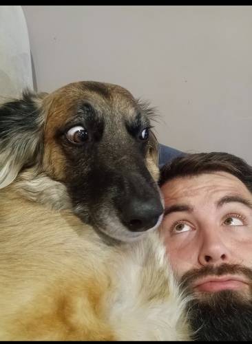 Photo de profil de Vovo et le chat 